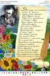 подробнее