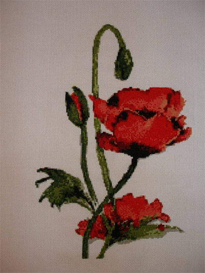 P1012157.jpg